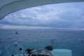 Front view from a fishing boat on Lake Huron